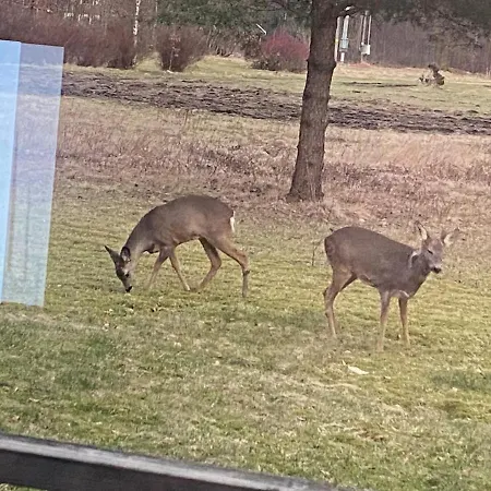 Appartement Toppetasje, Flekkefjord
